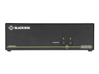 Black Box SECURE NIAP - Dual-Head - omkopplare för tangentbord/video/mus/ljud - 2 portar - TAA-kompatibel SS2P-DH-DVI-U