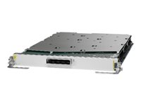 Cisco Service Edge Optimized Line Card - expansionsmodul - 100 Gigabit CFP A9K-1X100GE-SE=