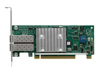Cisco UCS Virtual Interface Card 1225T - nätverksadapter - PCIe 2.0 x16 - 10Gb Ethernet x 2 UCSC-PCIE-C10T-02=