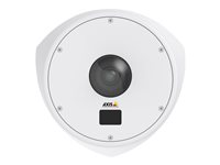 AXIS Q8414-LVS Network Camera - nätverksövervakningskamera 0710-001