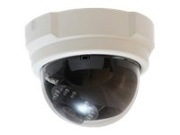 LevelOne FCS-3063 - nätverksövervakningskamera - kupol FCS-3063