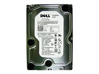 Dell - hårddisk - 1 TB V8FCR