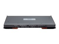 Lenovo Flex System EN4091 10Gb Ethernet Pass-thru Module - switch - 28 portar - insticksmodul 88Y6043