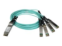 StarTech.com AOC Breakout Cable for Cisco QSFP-4X10G-AOC3M, 3m/9.84ft 40G 1x QSFP+ to 4x SFP+ AOC Cable, 40GbE / 40Gbps QSFP Plus Transceiver Module Active Optical Fiber, C9300 C3850, - Lifetime Warranty (QSFP4X10GAO3) - övergångskabel - 3 m - svart QSFP4X10GAO3