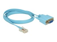 Delock Adapter RS-232 DB9 female > 1 x Serial RS-232 RJ45 male - seriell kabel - DB-9 till RJ-45 - 1 m 63341