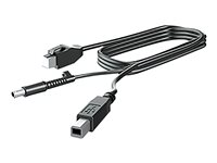 HP DisplayPort-kabel - 3 m V4P97AA