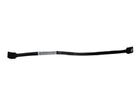 Lenovo SATA-kabel - 25 cm 00XL269