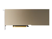 NVIDIA A30 - GPU-beräkningsprocessor - A30 - 24 GB TCSA30M-PB