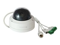 LevelOne GEMINI series FCS-3403 - nätverksövervakningskamera - kupol FCS-3403