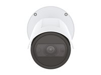 AXIS P14 Series P1465-LE-3 - nätverksövervakningskamera - kula - TAA-kompatibel - med AXIS License Plate Verifier 02811-001