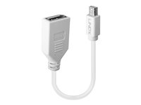 Lindy - DisplayPort-adapter - Mini DisplayPort till DisplayPort - 15 cm 41021