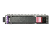 HPE Enterprise - hårddisk - 600 GB - SAS 12Gb/s 737396-B21