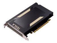 NVIDIA Tesla V100 - GPU-beräkningsprocessor - Tesla V100 - 16 GB Q8Z50A