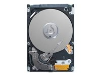 Dell - hårddisk - 14 TB - SAS 12Gb/s NRNFM