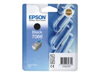 Epson T066 - svart - original - bläckpatron C13T06614010