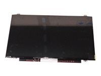 Lenovo - 14" HD anti-glare 45% color gamut panel 01LW139