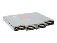 Intel Omni-Path Edge Switch 100 Series - switch - 48 portar - Administrerad - rackmonterbar 100SWE48QF2