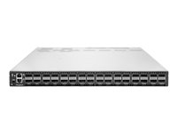 HPE Slingshot - switch - 64 portar - rackmonterbar R4K41A