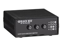 Black Box 4-to-1 CAT6 10-GbE Manual Switch (ABCD) - switch SW1032A