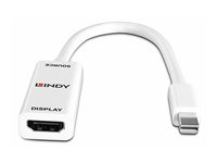 Lindy videokort - DisplayPort / HDMI 41719