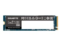 Gigabyte Gen3 2500E - SSD - 1 TB - PCIe 3.0 x4 (NVMe) G325E1TB