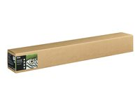 Epson Fine Art - lumppapper - matt - 1 rulle (rullar) - Rulle (111,8 cm x 15 m) - 300 g/m² C13S450272