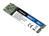 Intenso TOP - SSD - 256 GB - SATA 6Gb/s 3832440