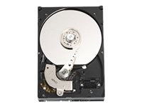 Dell - hårddisk - 320 GB - SATA 1.5Gb/s 400-21028