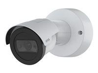 AXIS M2036-LE - nätverksövervakningskamera - kula 02125-001