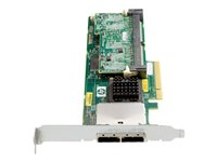 HPE Smart Array P411/256MB Controller - kontrollerkort (RAID) - SATA 6Gb/s / SAS 6Gb/s - PCIe 2.0 x8 462830-B21