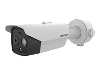 Hikvision HeatPro Series DS-2TD2628-3/QA - termisk/nätverksövervakningskamera - kula DS-2TD2628-3/QA
