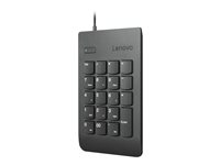 Lenovo Numeric Keypad Gen II - tangentsats - svart Inmatningsenhet 4Y40R38905