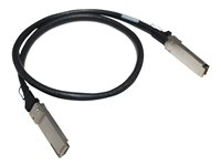 HPE Direct Attach Copper Cable - 400GBase direktkopplingskabel - 1 m R8M45A