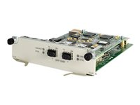 HPE - expansionsmodul - 2 portar JC162A