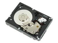 Dell - hårddisk - 300 GB - SAS 341-4461