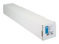 HP Collector Satin Canvas - papper - satin - 1 rulle (rullar) - Rulle (106,7cm x 15,2 m) Q8710A