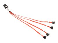Fujitsu SATA/SAS-kabel - 30 cm T26139-Y3964-V111