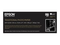 Epson Traditional Photo Paper - fotopapper - Rulle (43,2 cm x 15 m) - 300 g/m² C13S045054