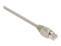 Black Box GigaTrue 550 - patch-kabel - 15.2 m - beige EVNSL645-0050