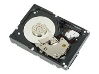 Dell - hårddisk - 2 TB - SAS 6Gb/s 400-22018