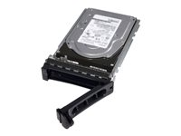 Dell Nearline - hårddisk - 2 TB - SAS 6Gb/s 400-24986