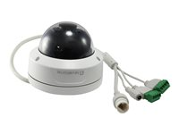 LevelOne GEMINI series FCS-3402 - nätverksövervakningskamera - kupol FCS-3402