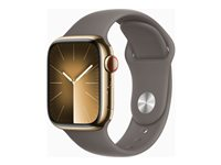 Apple Watch Series 9 (GPS + Cellular) - guld, rostfritt stål - smart klocka med sportband - clay - 64 GB MRJ53DH/A