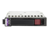 HPE Dual Port - hårddisk - 300 GB - SAS 6Gb/s QR477A