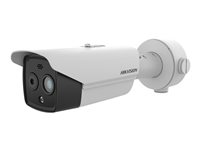Hikvision HeatPro Series DS-2TD2628-7/QA - termisk/nätverksövervakningskamera - kula DS-2TD2628-7/QA