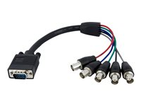 StarTech.com 1 ft. (0.3 m) VGA to BNC Cable - HD15 VGA to 5 BNC - Male/Female - BNC Cable (VGABNCMF1) - VGA-kabel - 30 cm VGABNCMF1