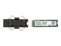 HP Z Turbo Drive - SSD - 256 GB 6EU82AA