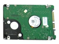 HP - hårddisk - 250 GB - SATA 3Gb/s 580019-001