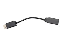 Lenovo adapterkabel - DisplayPort / HDMI 04X2753