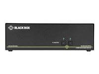 Black Box SECURE NIAP - Single-Head - omkopplare för tangentbord/video/mus/ljud - 2 portar - TAA-kompatibel SS2P-SH-DVI-U